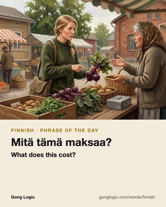 The Finnish word Mitä tämä maksaa?, illustrated